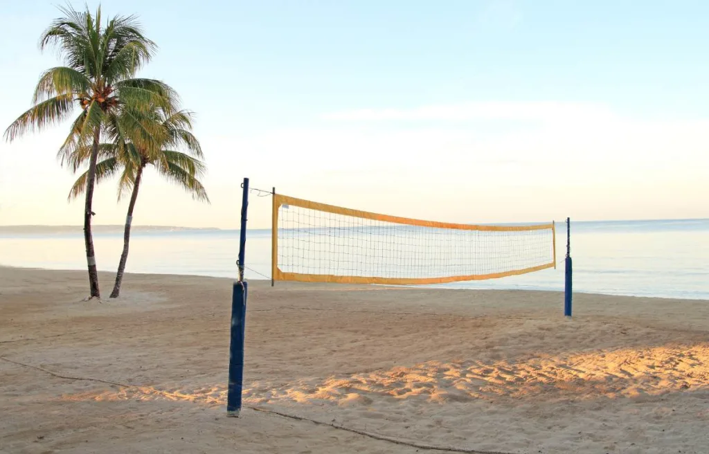 A beautiful view of volleyball net and palm tree